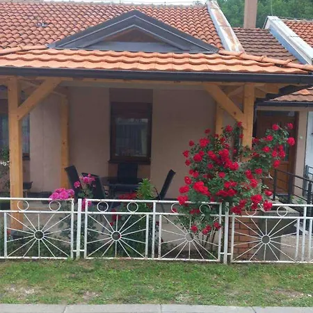 아파트 Smestaj Gligorijevic *